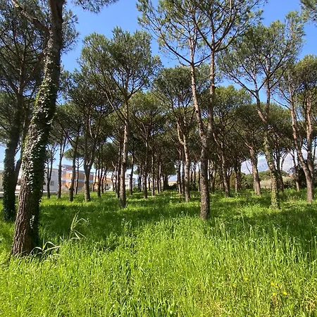 Apartment Confortevole Tra E Pinete