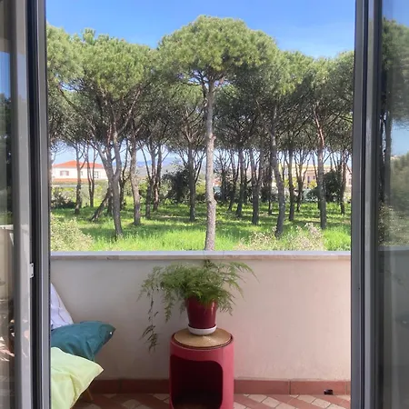 Confortevole Tra E Pinete *