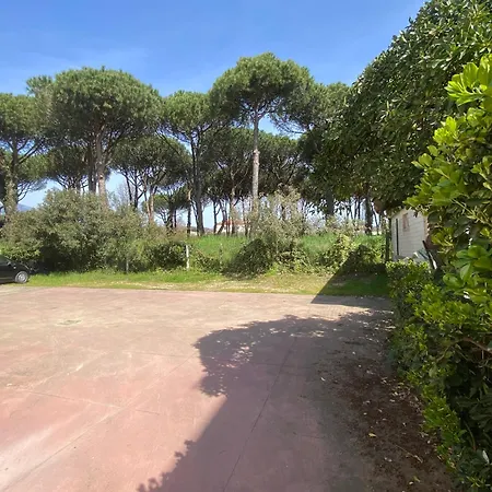 Confortevole Tra E Pinete